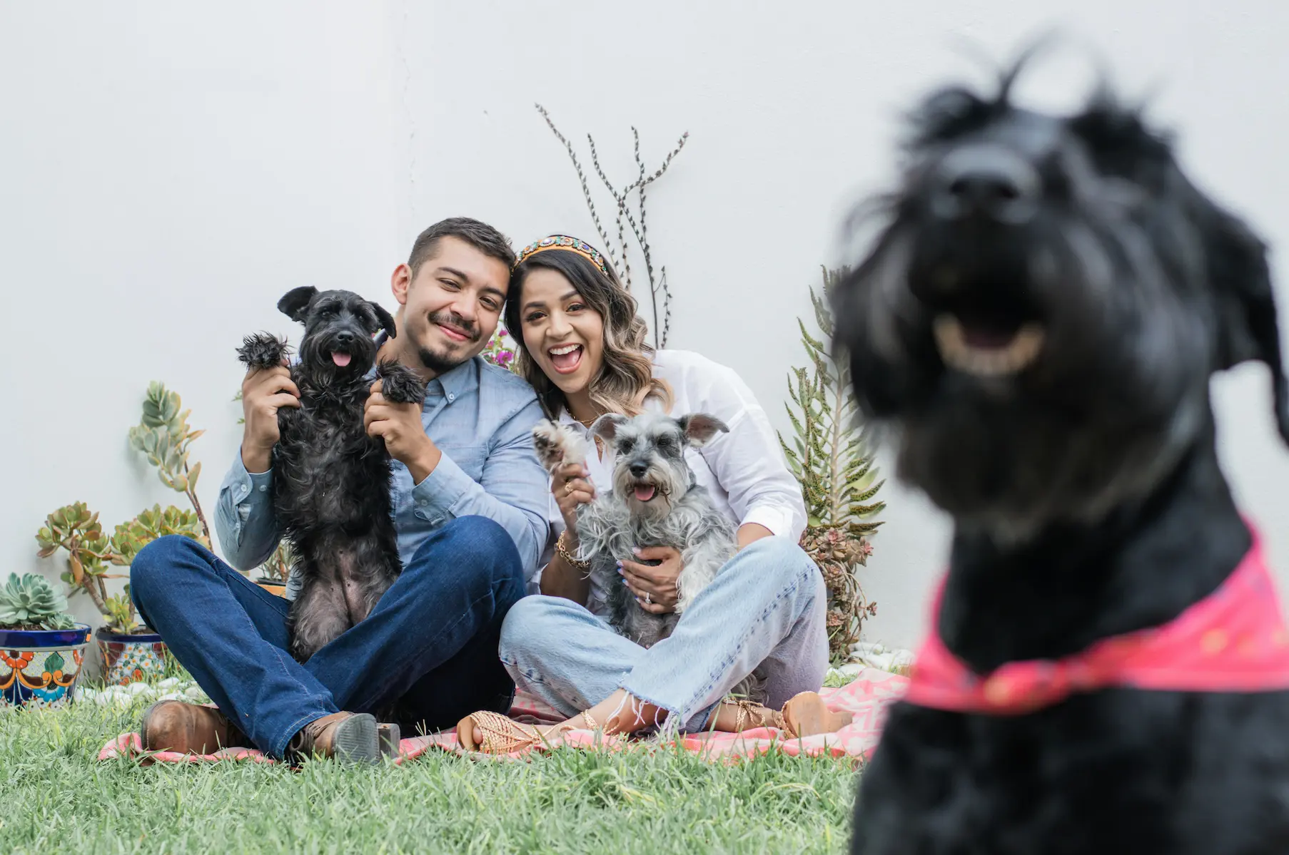 Family and dog relaxing together in a cozy Airbnb-style vacation home