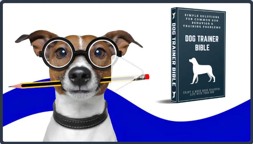 Home 47 Dog Trainer Bible