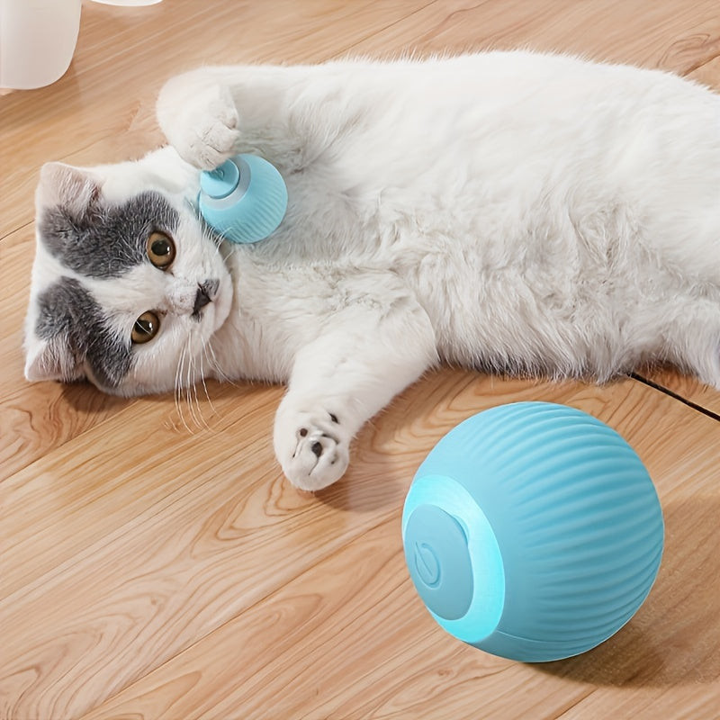 Home 34 Cat Litter Box Accessibility