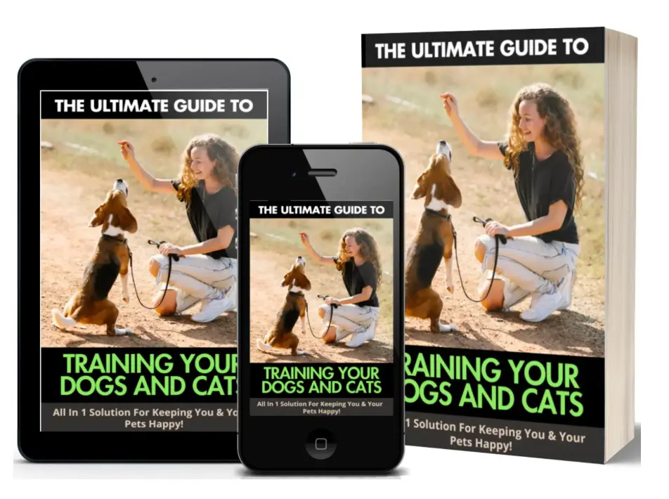 Home 46 Ultimate Guide to Training