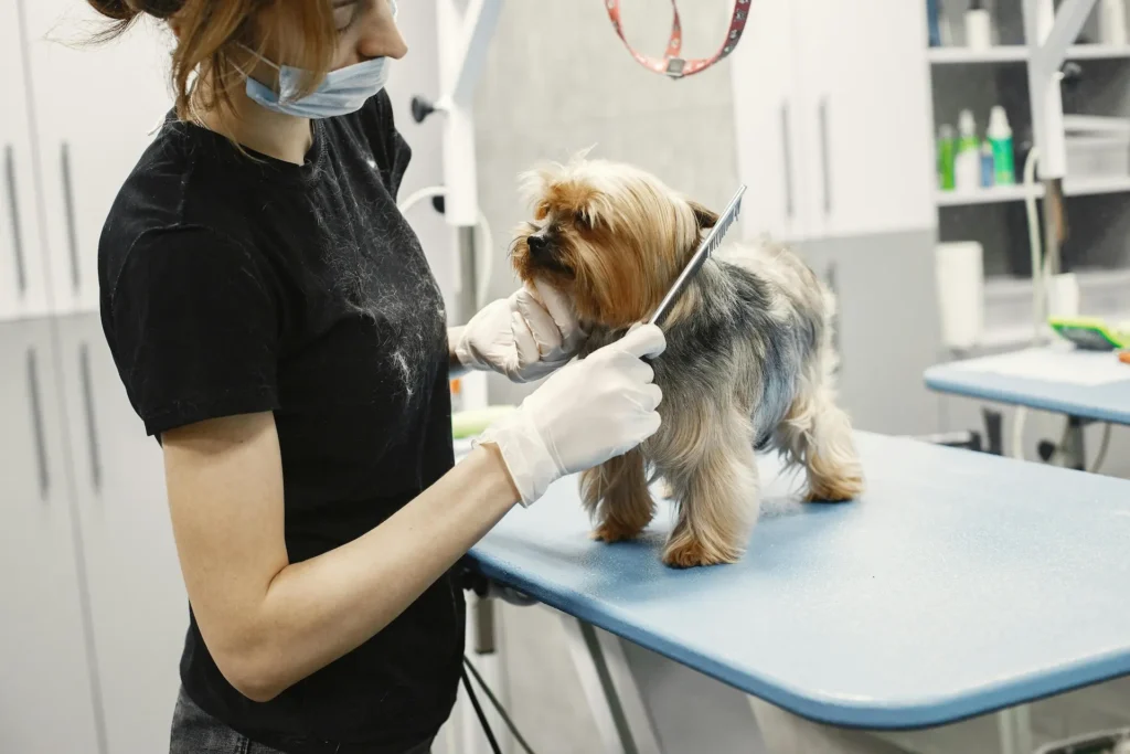 Dog flea remedy