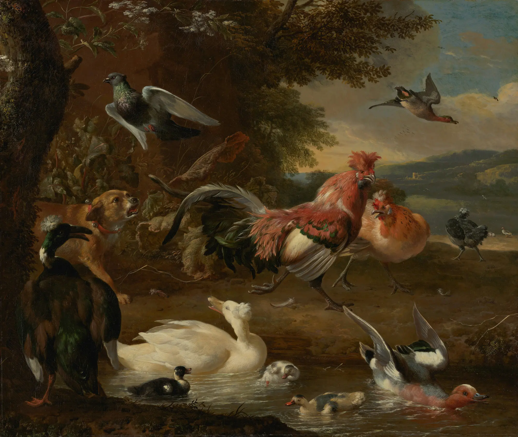 Fowl bird species in the wild