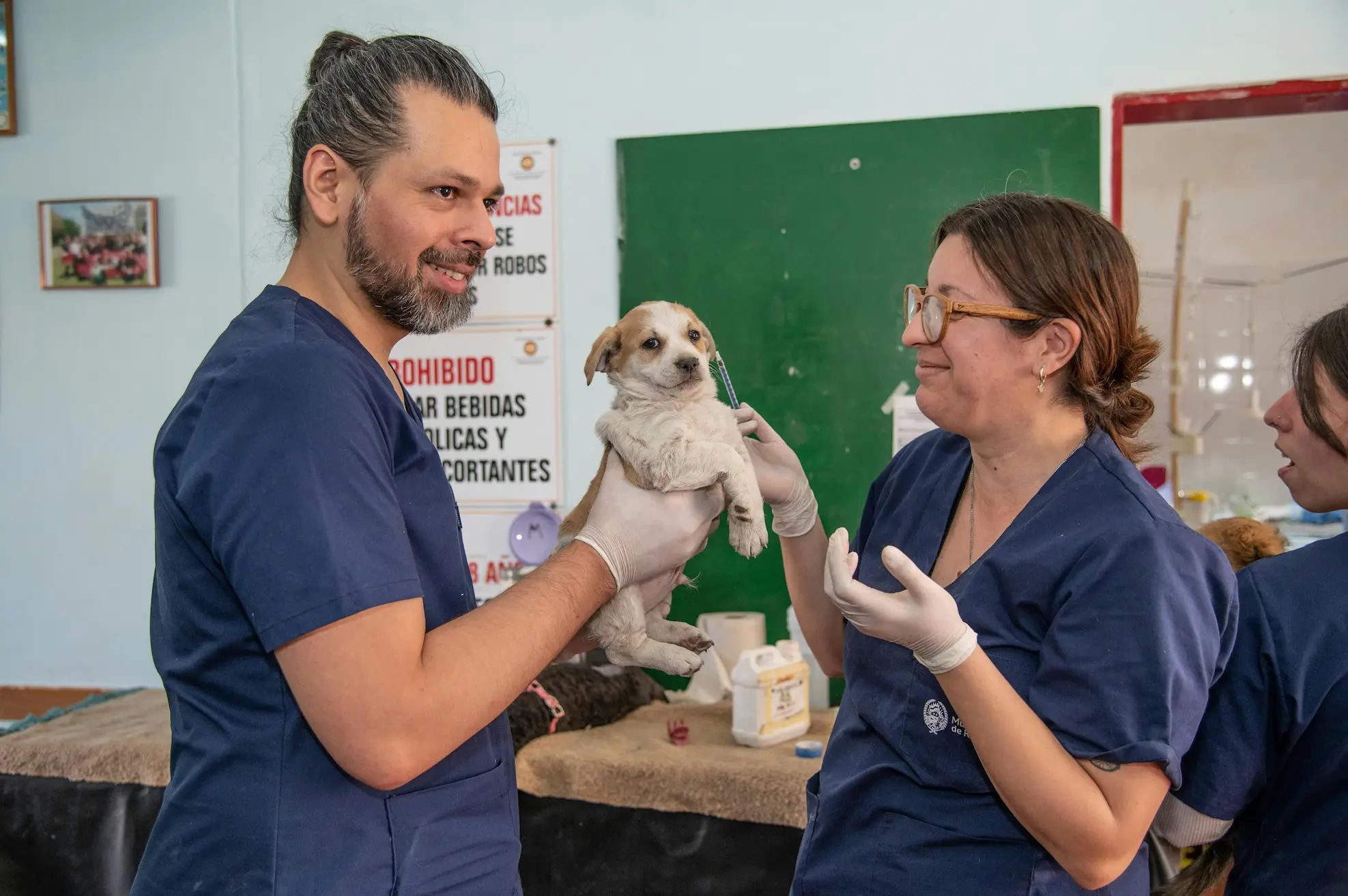 Pet owner comforting dog in hospice care