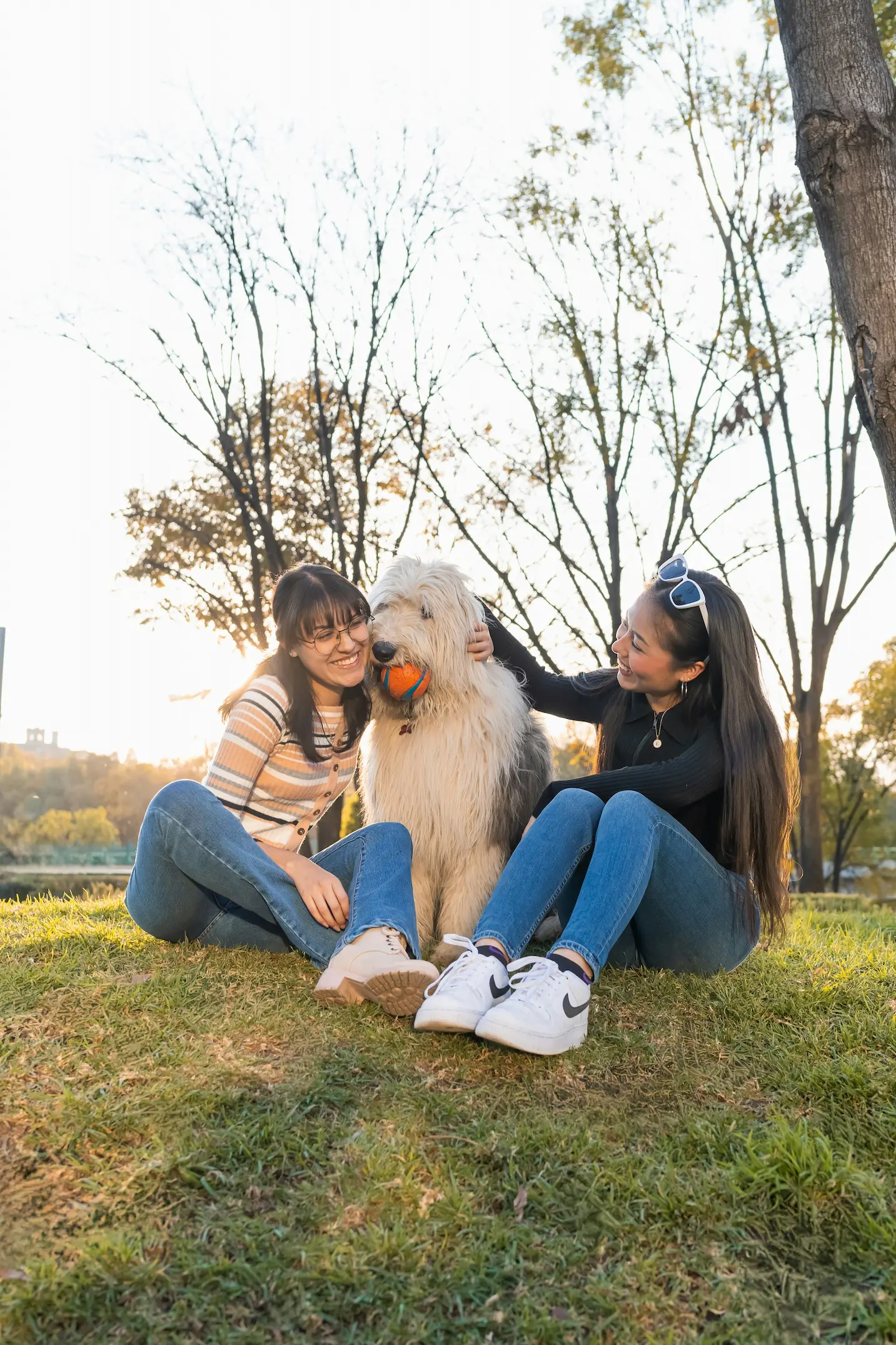 Adopt a Schnauzer and Make Your Loyal Friend 3 Schnauzer playing with children