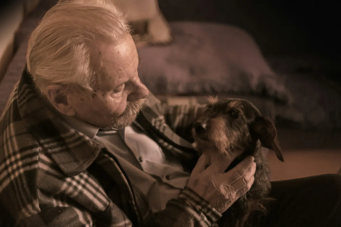 Pet hospice care for terminal dogs