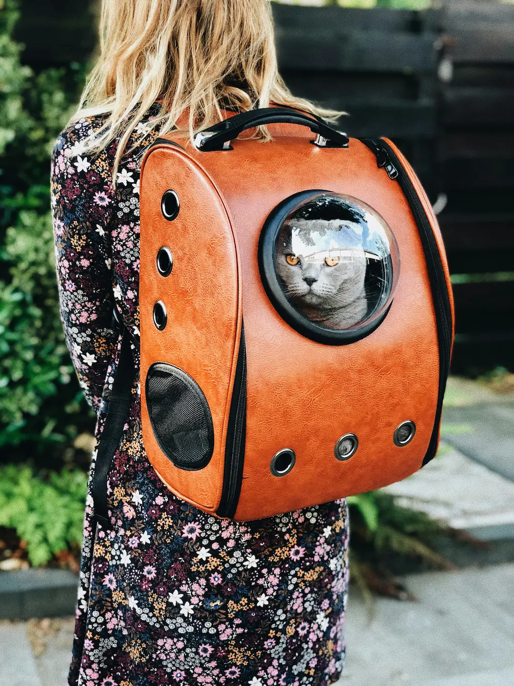 stylish cat carriers for travel