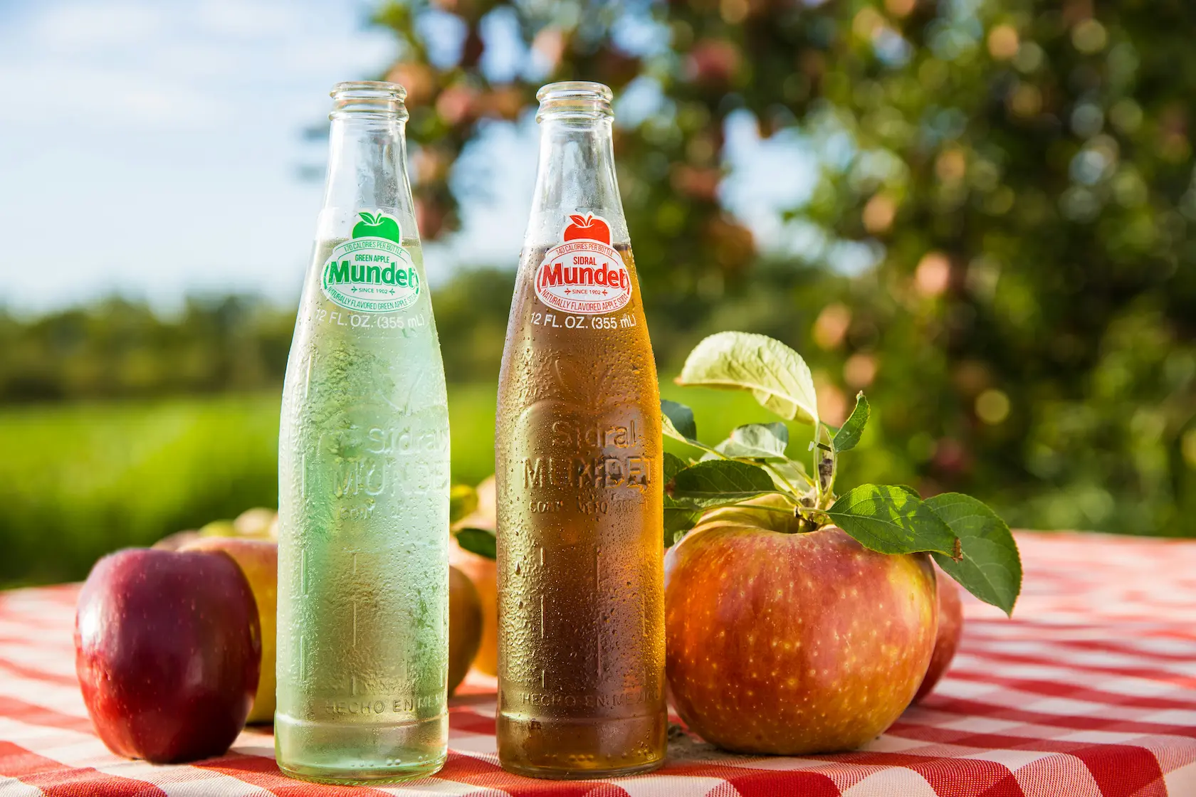 apple cider vinegar flea remedy for dogs