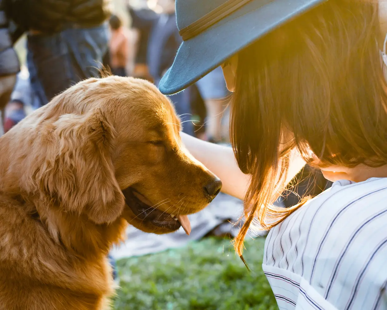 Veterinarian suggesting dog health supplements