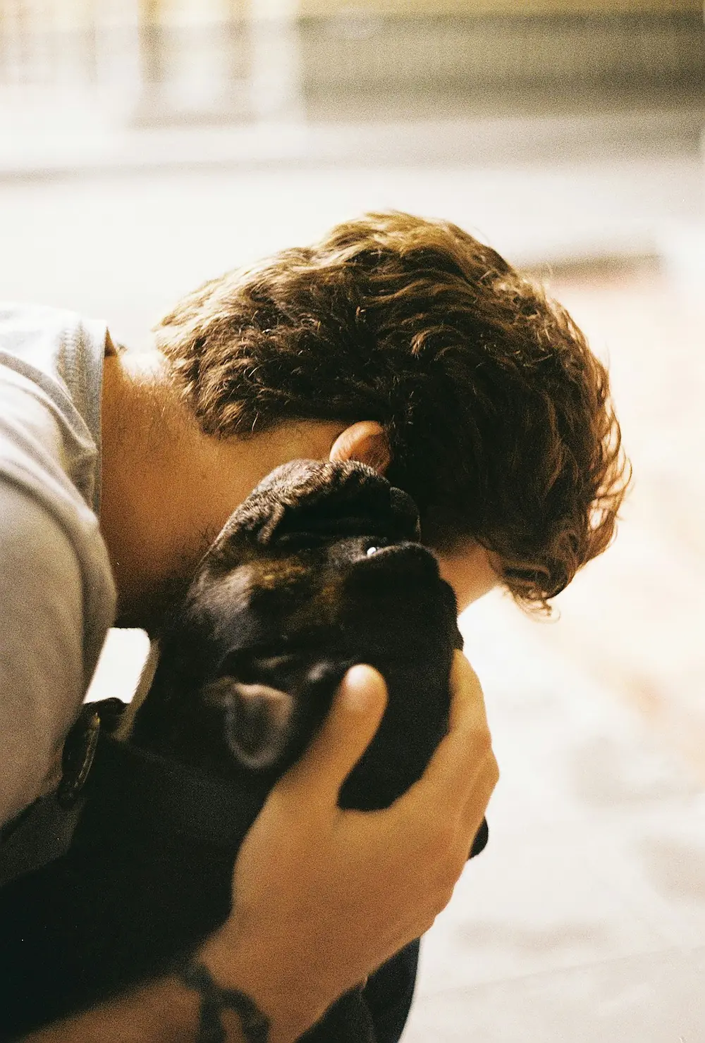 Top 10 Natural Remedies for Pet Anxiety in 2025 3 Pet stress relief through owner comfort and natural remedies