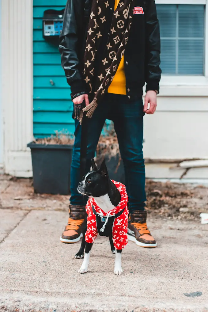 Choose Your Pet Costume: The Ultimate 2025 Pet Costume Guide 4 Choose your costume wisely – family and pet costumes