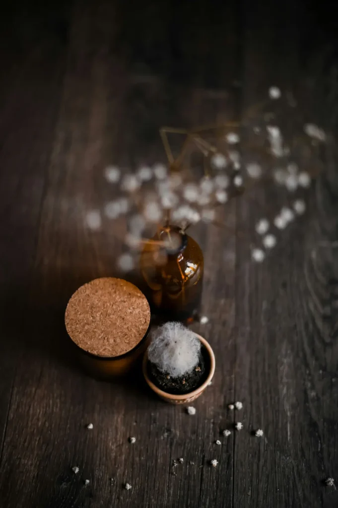 probiotics and supplements