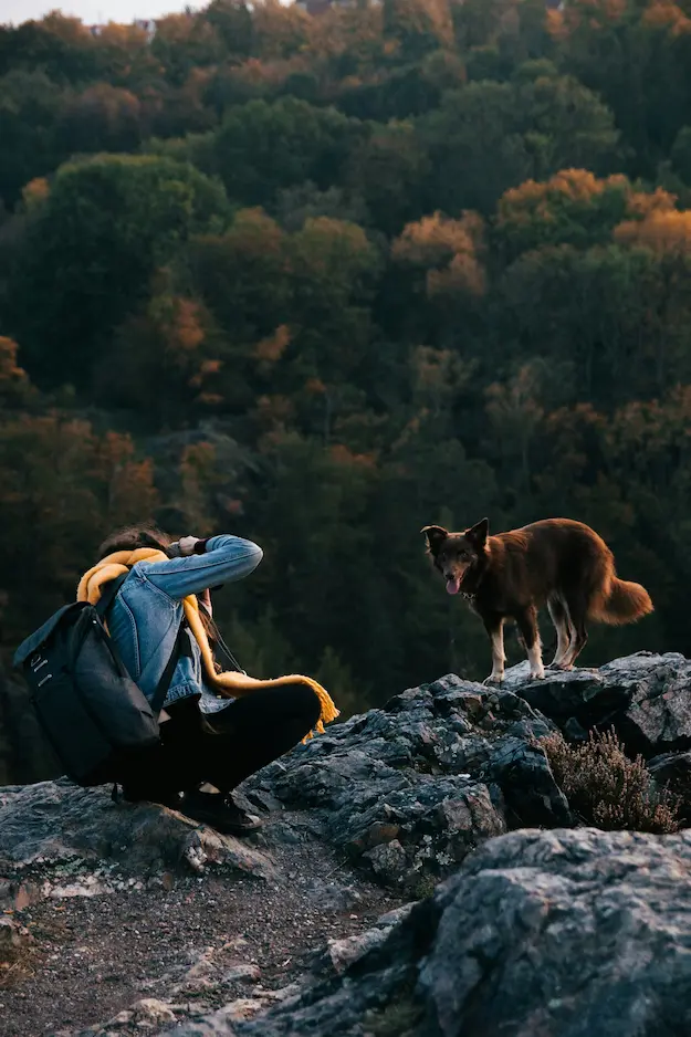 Fresh Air for Pets: Top 10 Outdoor Activities for 2025 3 Owner and pet enjoying fresh air on a hiking trail