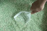 Tofu Cat Litter: 7 Must-Know Benefits for Your Furry Cat (2025) 4 Tofu litter in scoop