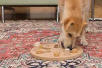 5 Best Dog Toys for Boredom in 2025 2 Interactive dog toys to keep dogs entertained