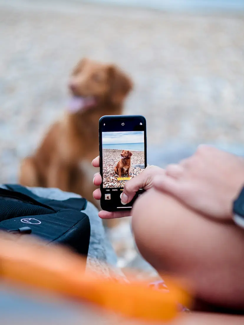 Virtual Pet Care: Top 10 Benefits for USA Pet Owners in 2025 2 Telemedicine for pets on a mobile device in the USA
