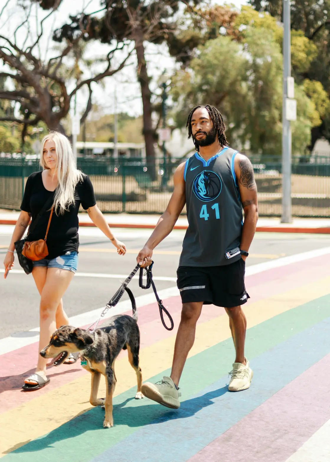 Active pet interactions supporting mental health benefits