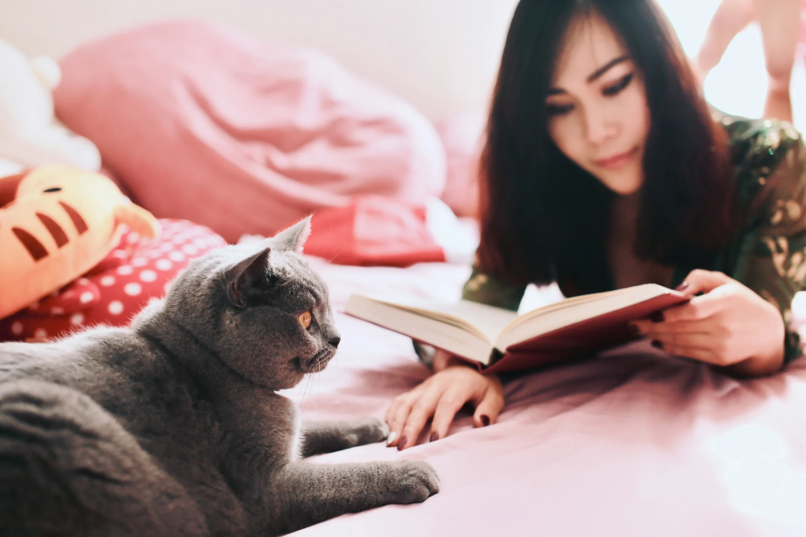 Daily emotional support through pet companionship and routines