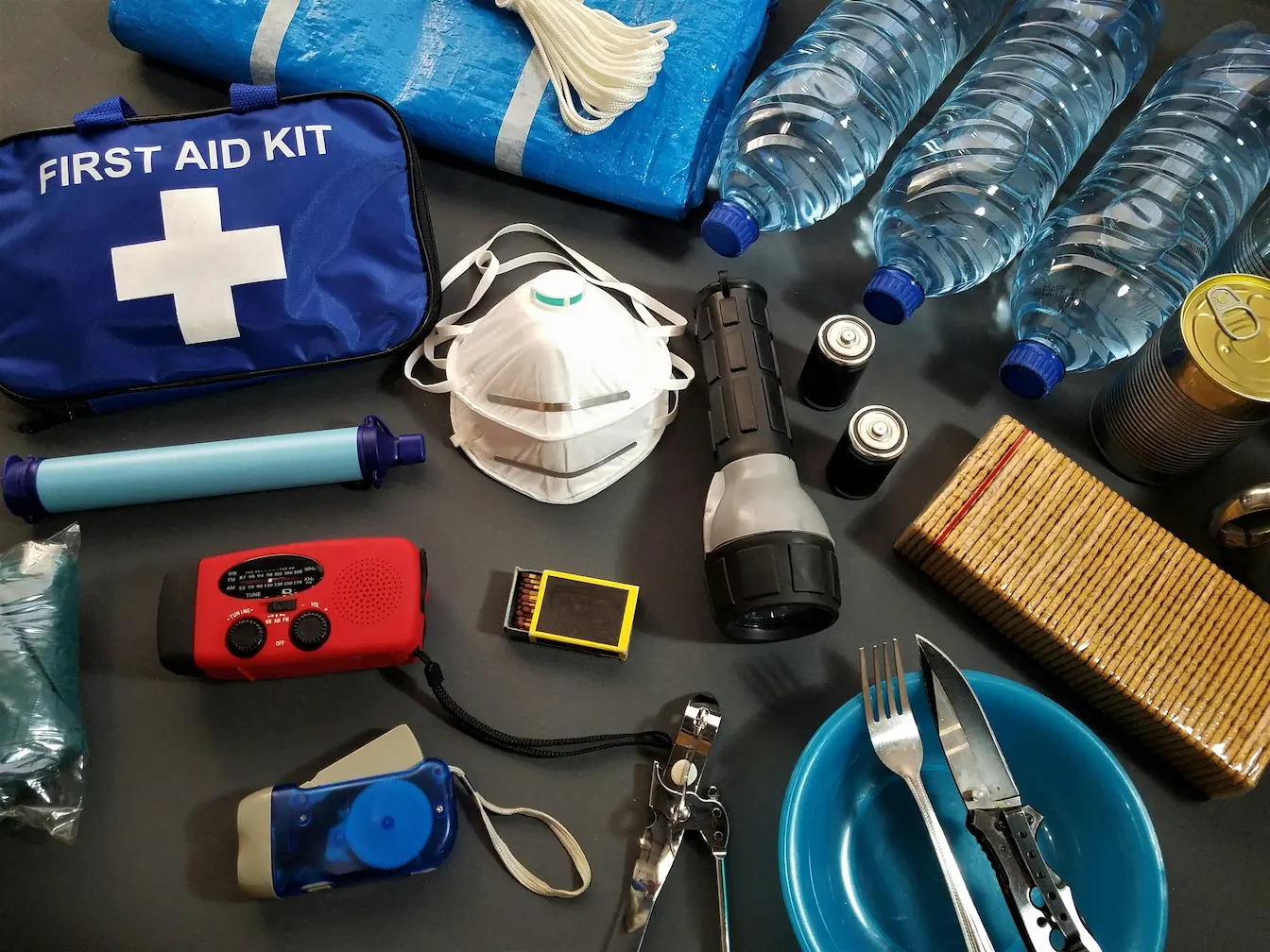 Pet Emergency Preparedness: 10 Must-Know Tips for 2025 7 Pet Emergency Preparedness Kit