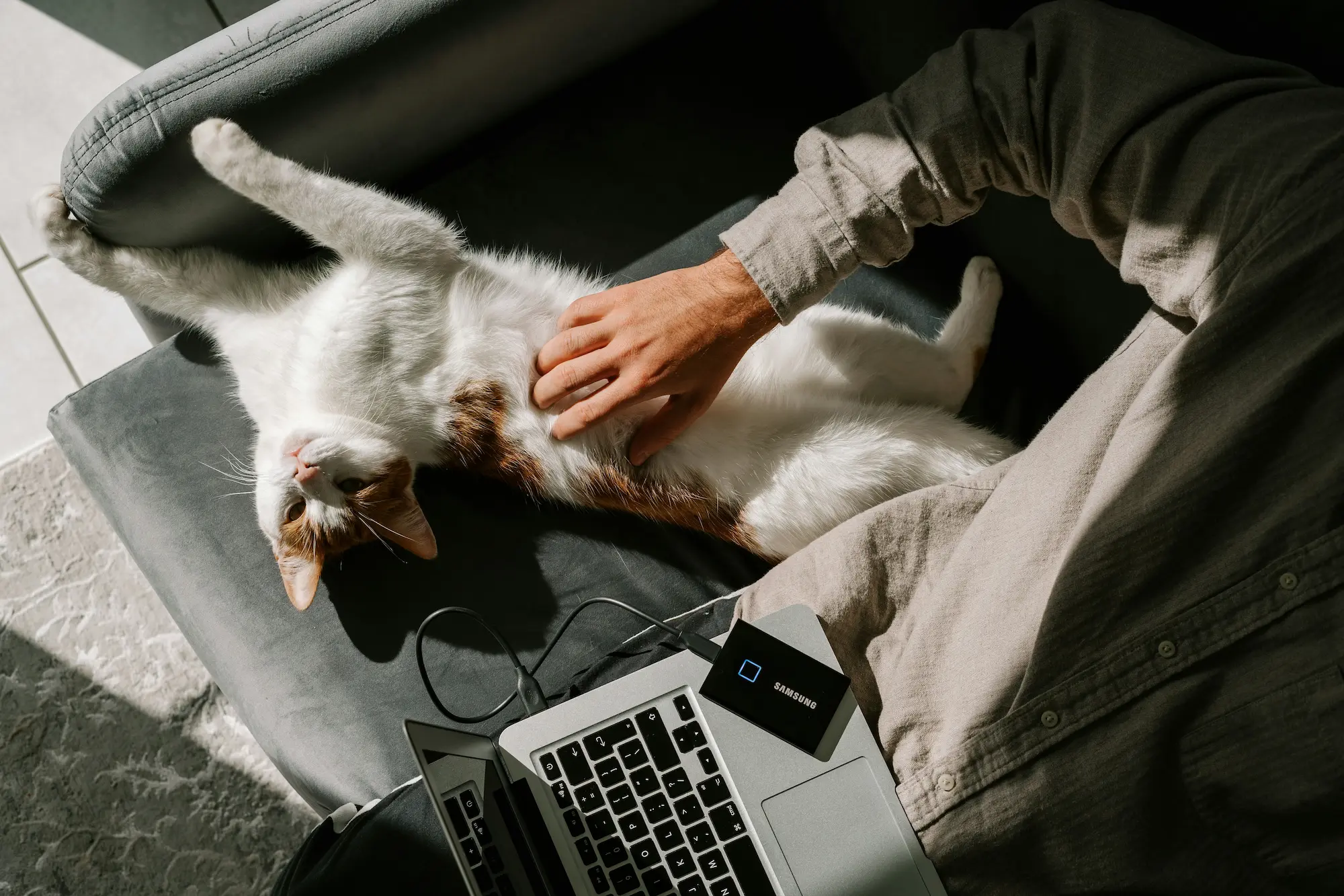 Virtual Pet Care: Top 10 Benefits for USA Pet Owners in 2025 3 Online vet consultation with a virtual veterinarian in the USA