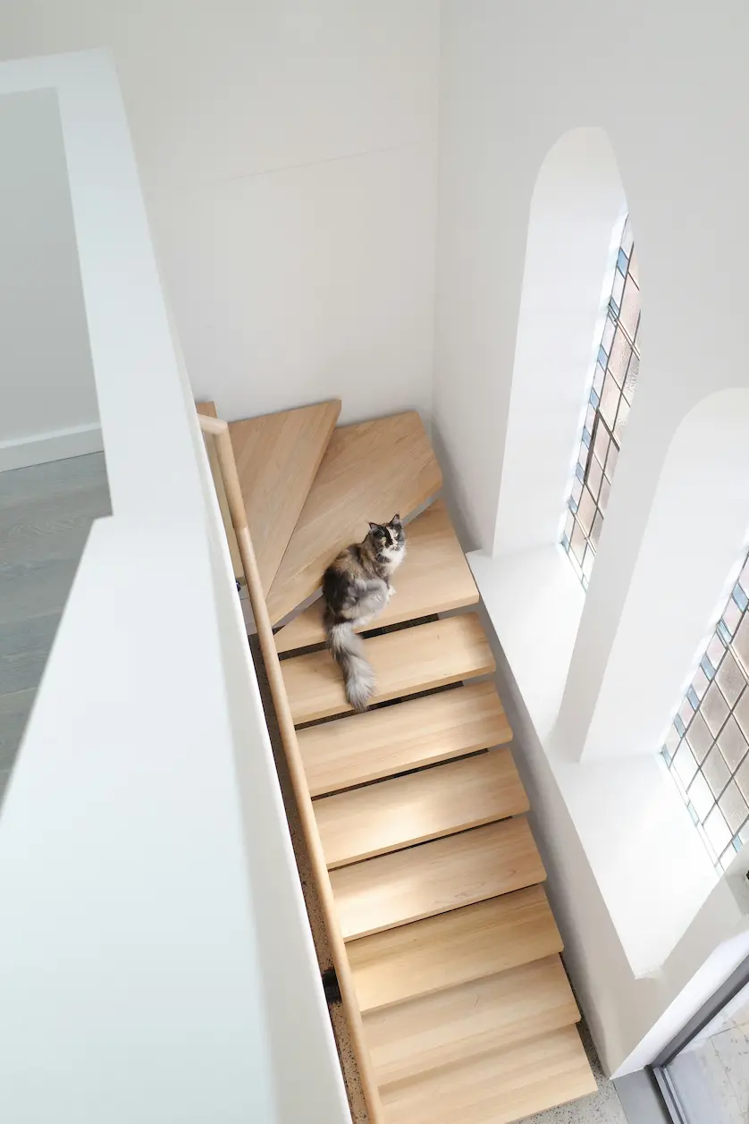 Top 10 Furniture Ideas for Cats in 2025 2 Wall-mounted cat shelves