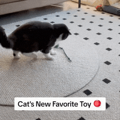 Interactive Cat Toy Ball Super Drive Cat Rolling Ball 8 Interactive Cat Toy Ball Super Drive Cat Rolling Ball