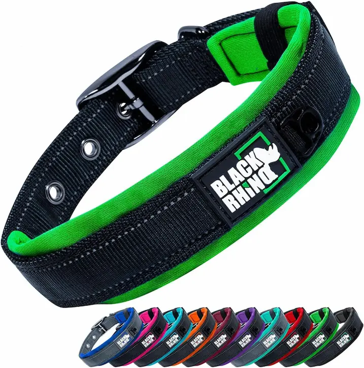 stylish dog collars - Black Rhino Active Collar