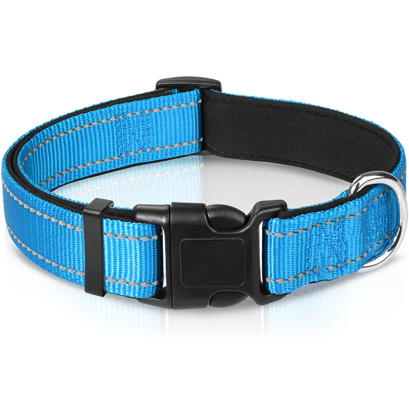 best dog collars - Joytale Padded Reflective Collar