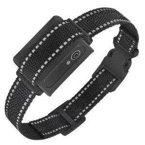 dog training collar