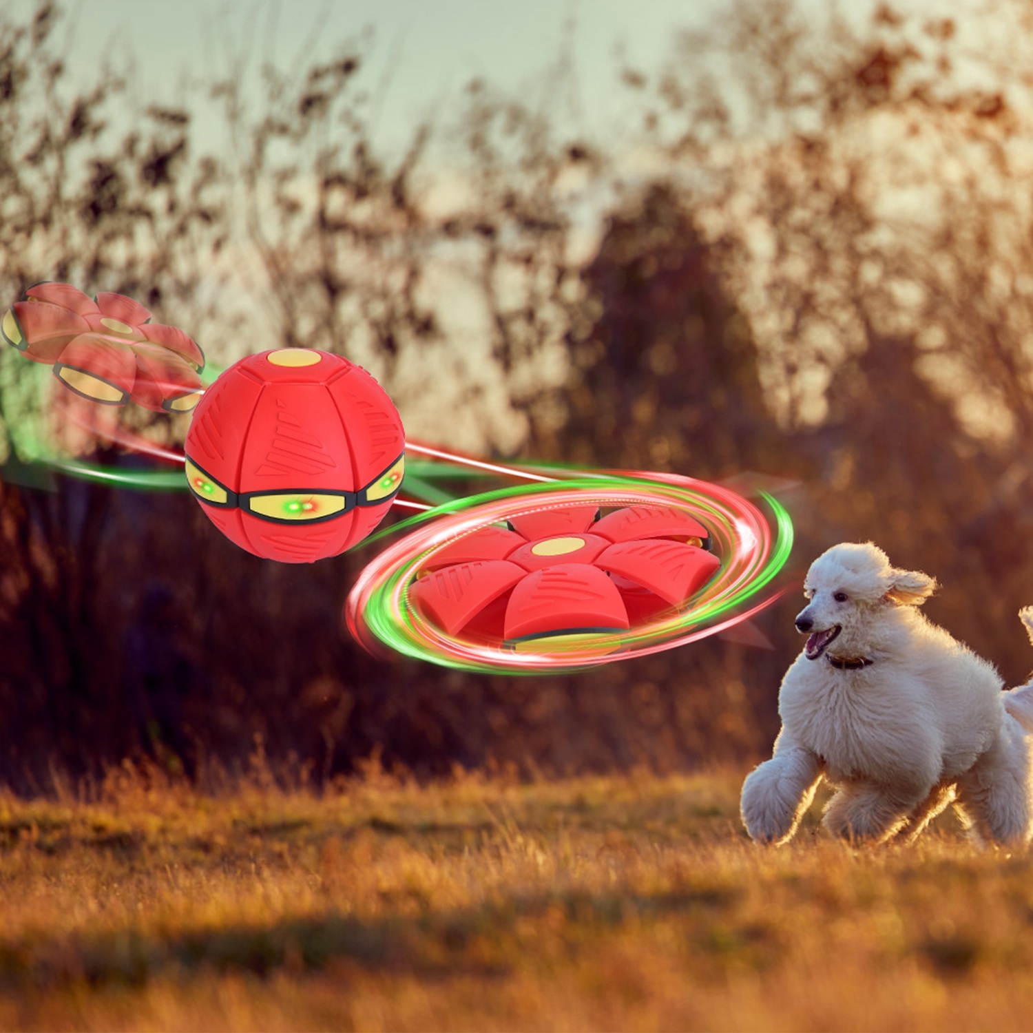 4 Pack Flying Saucer Ball Electric Colorful Flying Toy UFO Ball With LED Lights For Pet Children Outdoor Toy 6 4 Pack Flying Saucer Ball Electric Colorful Flying Toy UFO Ball With LED Lights For Pet Children Outdoor Toy - Image 6